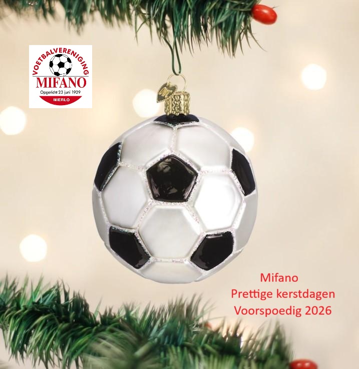 Kerst- en Nieuwjaarswens